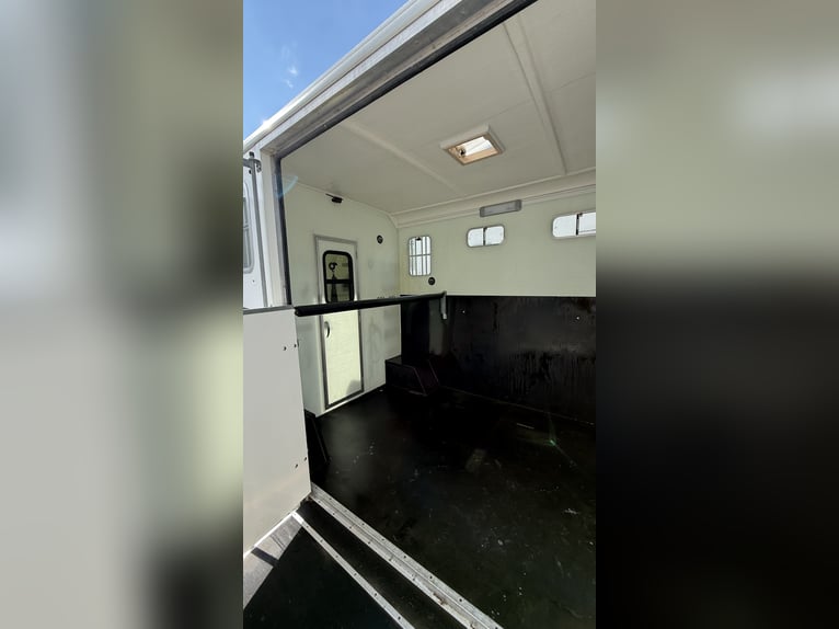 Furgone per trasporto cavalli da 3,5 tonnellate