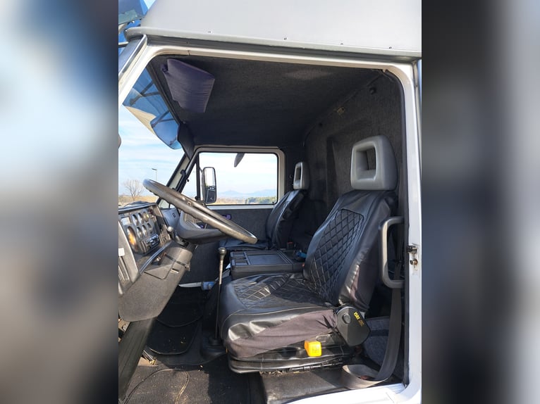 Furgone per trasporto cavalli da 7,5 tonnellate, veicolo H, targa con 3 posti per cavalli