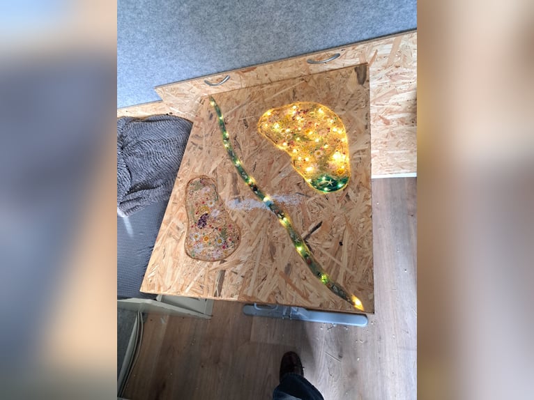 Furgone per trasporto cavalli da 7,5 tonnellate, veicolo H, targa con 3 posti per cavalli