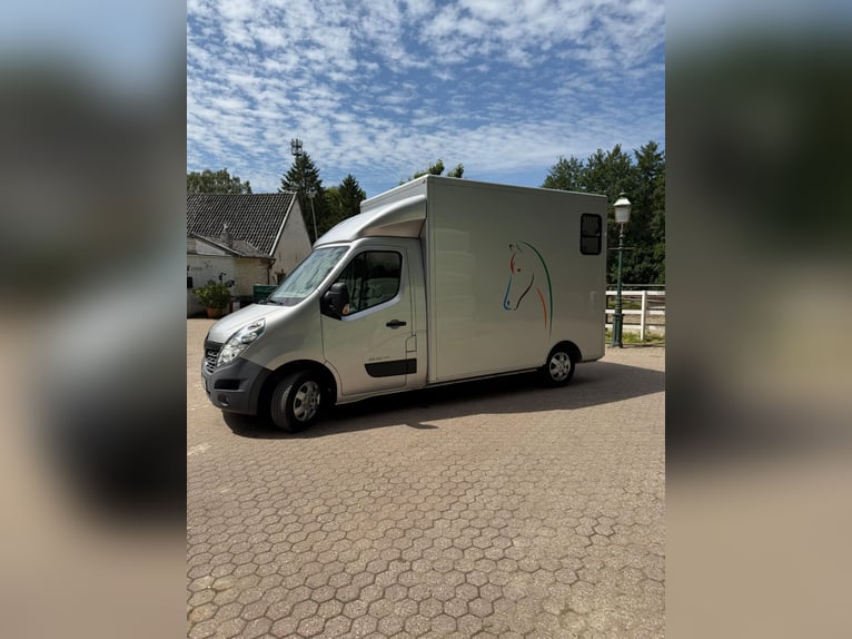 Furgone Renault Master per il trasporto di 2 cavalli