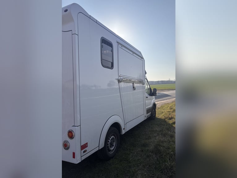 Furgone trasporto cavalli per 2 cavalli, camion da 3,5 tonnellate
