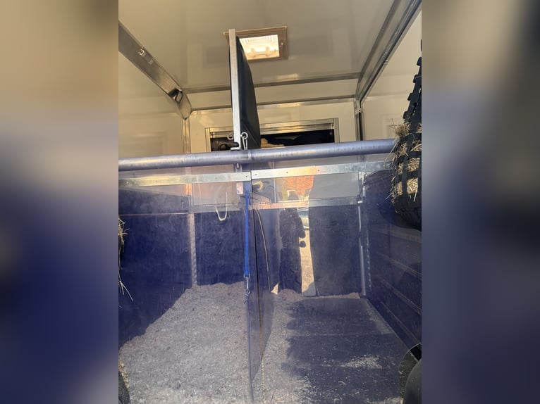 Furgone trasporto cavalli per 2 cavalli, camion da 3,5 tonnellate