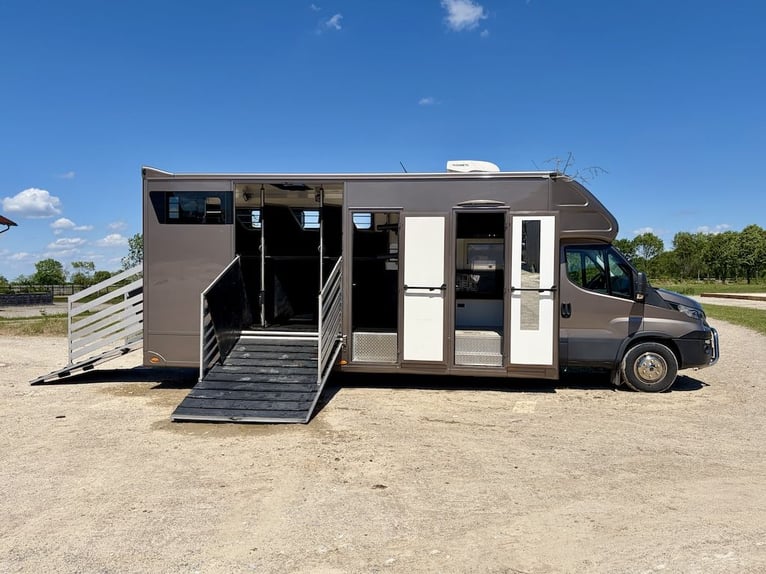 IVECO Daily RJH Sport Pro H3 Trasporto cavalli con living, 3 posti, cambio automatico, bagno, doccia