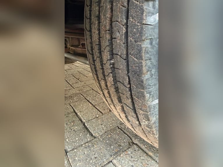 Mercedes 814 furgone transportatore - 6 cavalli - Oldtimer, revisione valida fino al 2026, 7,5 tonne