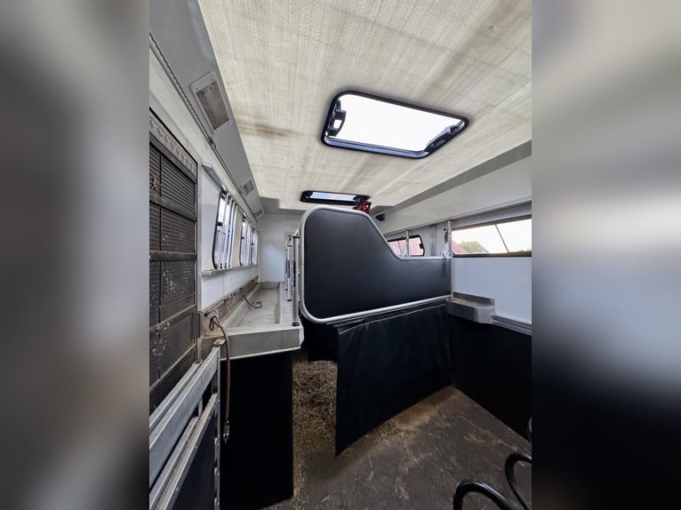 Mercedes-Benz 817 Trasporto cavalli – per 4 cavalli – con alloggio abitabile