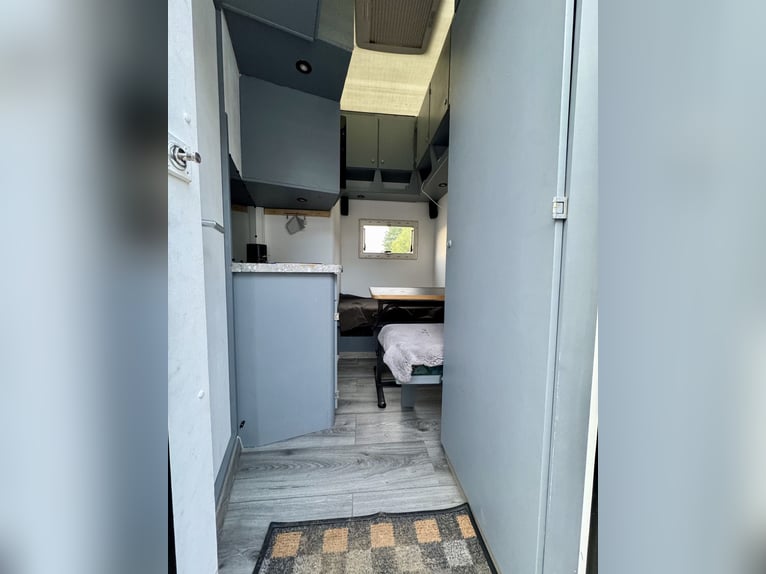 Mercedes-Benz 817 Trasporto cavalli – per 4 cavalli – con alloggio abitabile