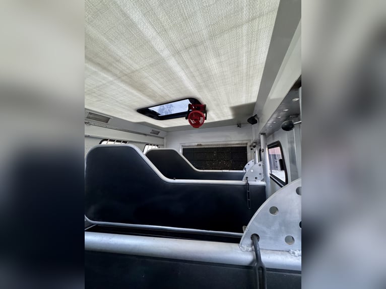 Mercedes-Benz 817 Trasporto cavalli – per 4 cavalli – con alloggio abitabile