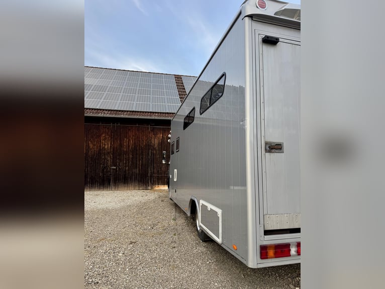 Mercedes-Benz 817 Trasporto cavalli – per 4 cavalli – con alloggio abitabile