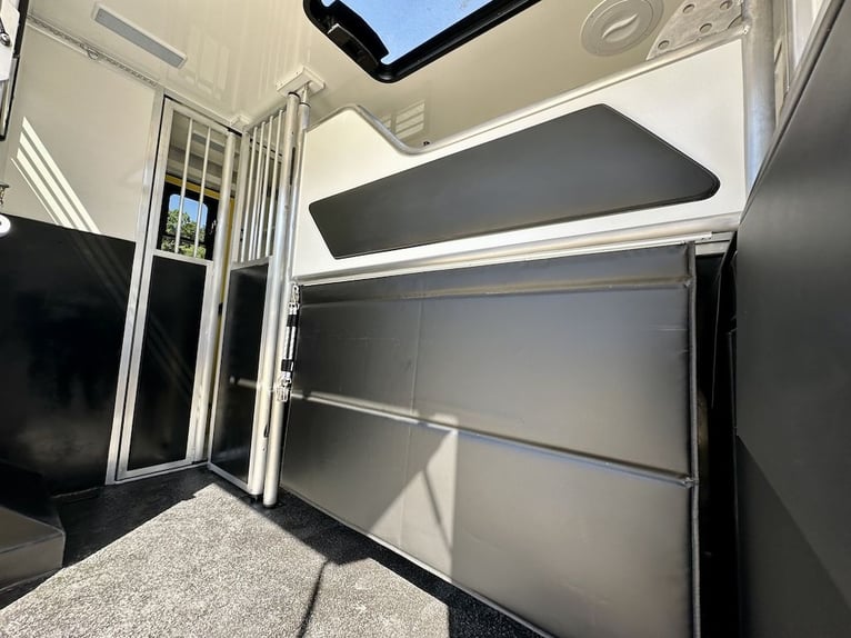 Mercedes-Benz Sprinter 419 CDI RJH Sport, trasportatore per 2 cavalli, veicolo commerciale - come nu