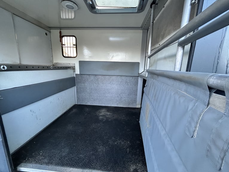 MSG Trasporto cavalli da 3,5 t (Offerta valida solo fino al 1° giugno)
