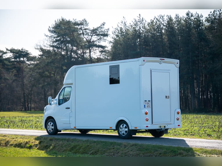 NUOVO RENAULT - MASTER (0000)