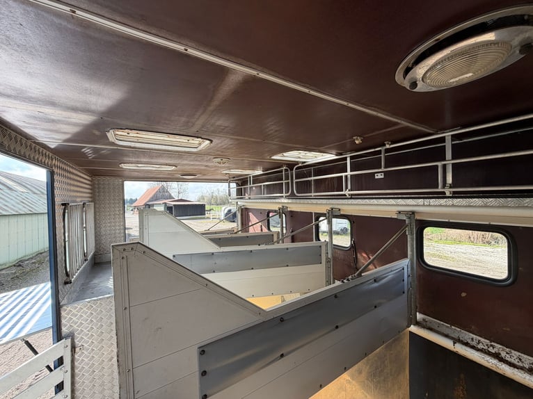 Pferde-LKW 814 Mercedes con autorizzazione H, adatto a 4 cavalli. Nuovo controllo tecnico (TÜV).