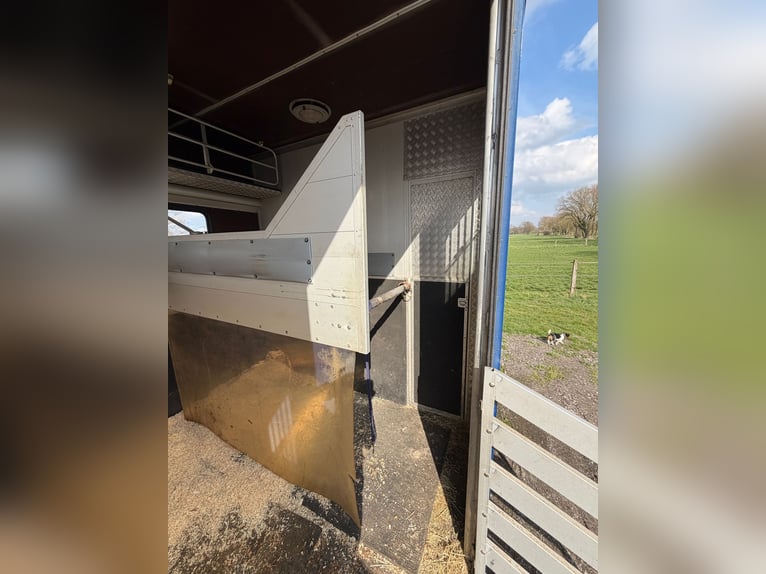 Pferde-LKW 814 Mercedes con autorizzazione H, adatto a 4 cavalli. Nuovo controllo tecnico (TÜV).