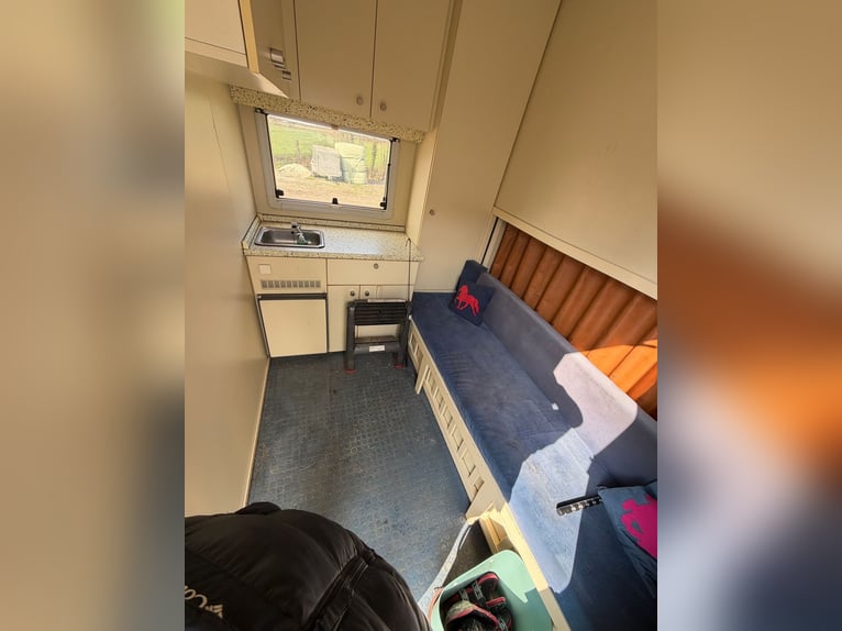 Pferde-LKW 814 Mercedes con autorizzazione H, adatto a 4 cavalli. Nuovo controllo tecnico (TÜV).