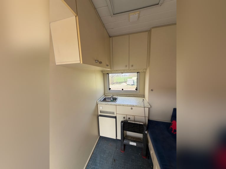 Pferde-LKW 814 Mercedes con autorizzazione H, adatto a 4 cavalli. Nuovo controllo tecnico (TÜV).