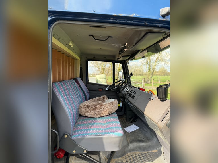 Pferde-LKW 814 Mercedes con autorizzazione H, adatto a 4 cavalli. Nuovo controllo tecnico (TÜV).