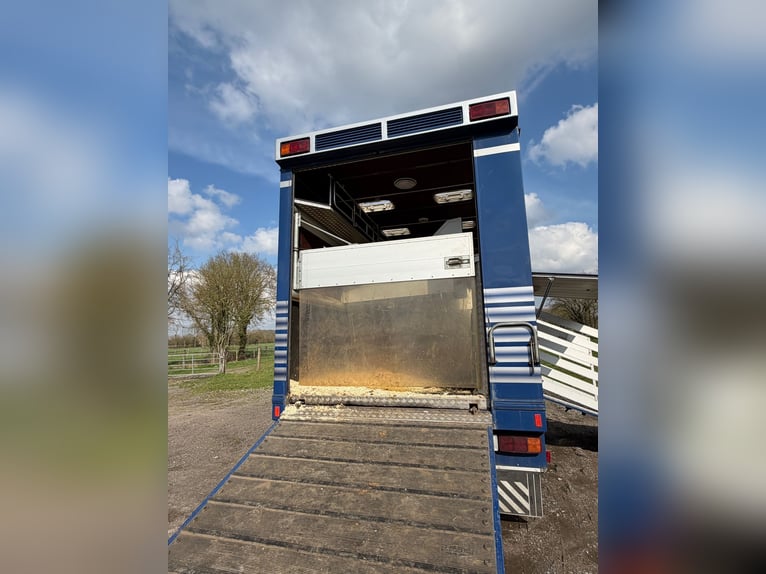 Pferde-LKW 814 Mercedes con autorizzazione H, adatto a 4 cavalli. Nuovo controllo tecnico (TÜV).