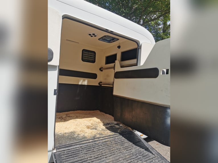 Renault Master, 3,5 t, furgone per il trasporto di 2 cavalli