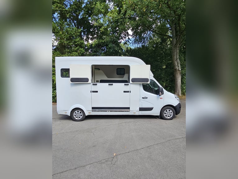 Renault Master, 3,5 t, furgone per il trasporto di 2 cavalli