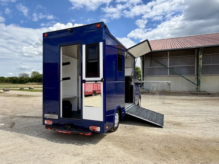 Renault Master RJH Sport trasportatore per 2 cavalli – nuovo modello con cambio automatico – disponi