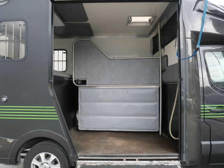 RENAULT Paragan Trasportatore per Cavalli con Autista Privato