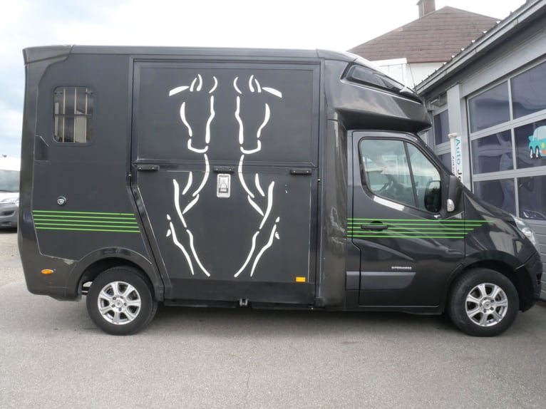 RENAULT Paragan Trasportatore per Cavalli con Autista Privato
