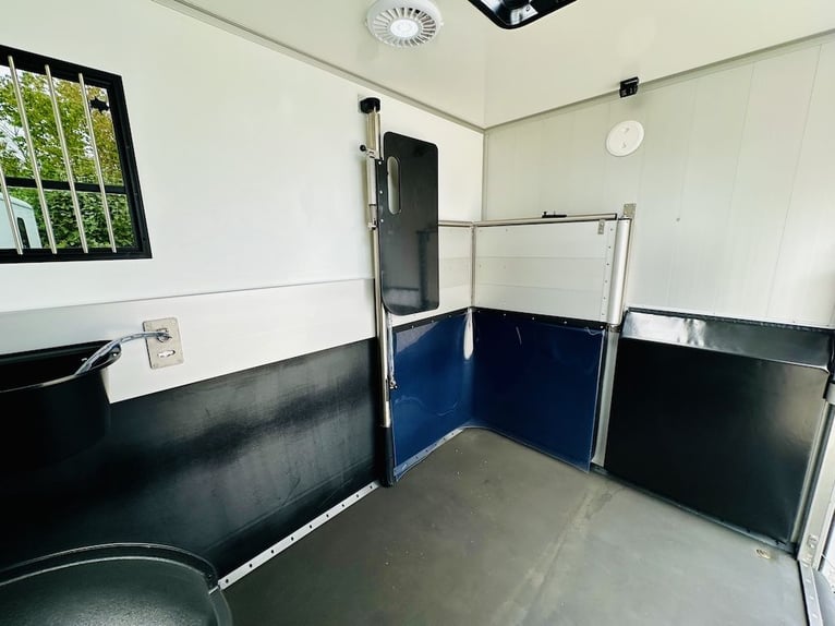 Renault Roelofsen Yorse, trasporto 2 cavalli, 3,5 tonnellate, 165 CV, cambio manuale, senza pedaggio