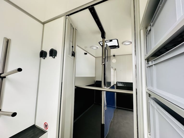 Renault Roelofsen Yorse, trasporto 2 cavalli, 3,5 tonnellate, 165 CV, cambio manuale, senza pedaggio