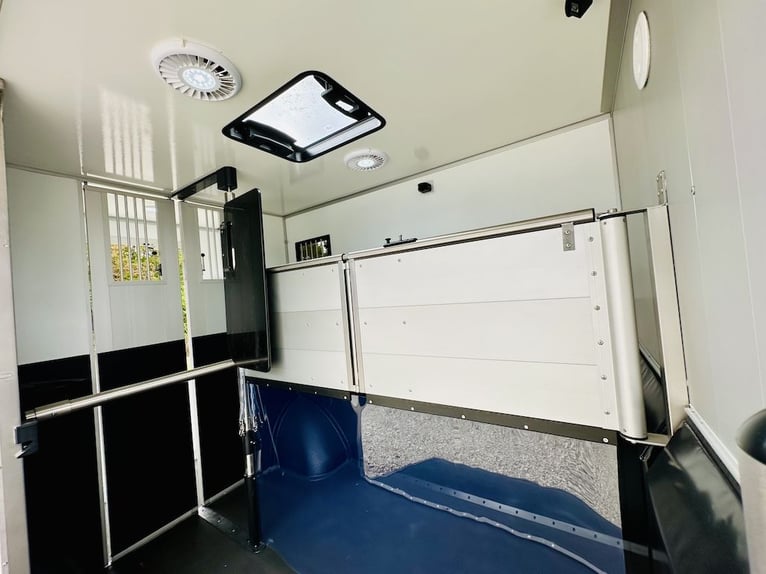 Renault Roelofsen Yorse, trasporto 2 cavalli, 3,5 tonnellate, 165 CV, cambio manuale, senza pedaggio