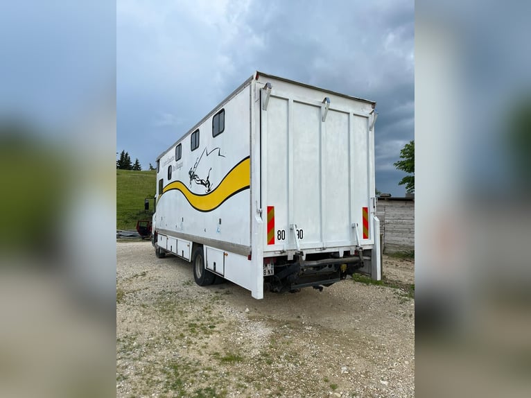 Trasportatore per cavalli