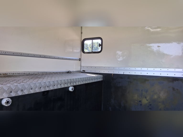 Trasportatore per cavalli