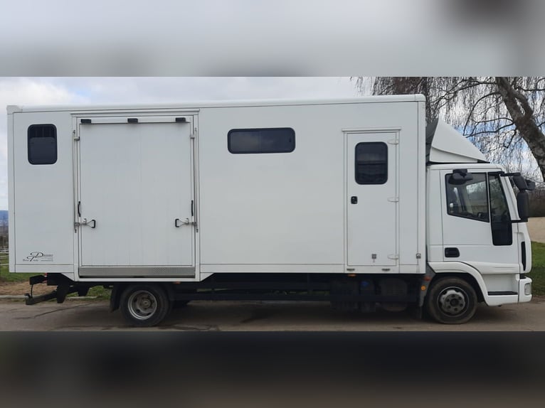Trasportatore per cavalli IVECO, modello Dickenherr, in ottime condizioni, con portata di 7,49 tonne