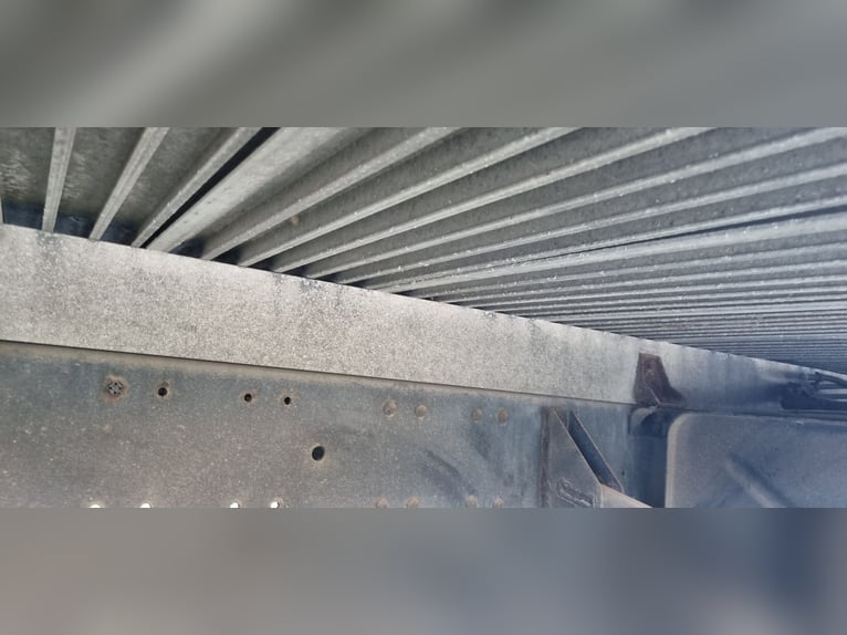 Trasportatore per cavalli MAN con tenda stalla