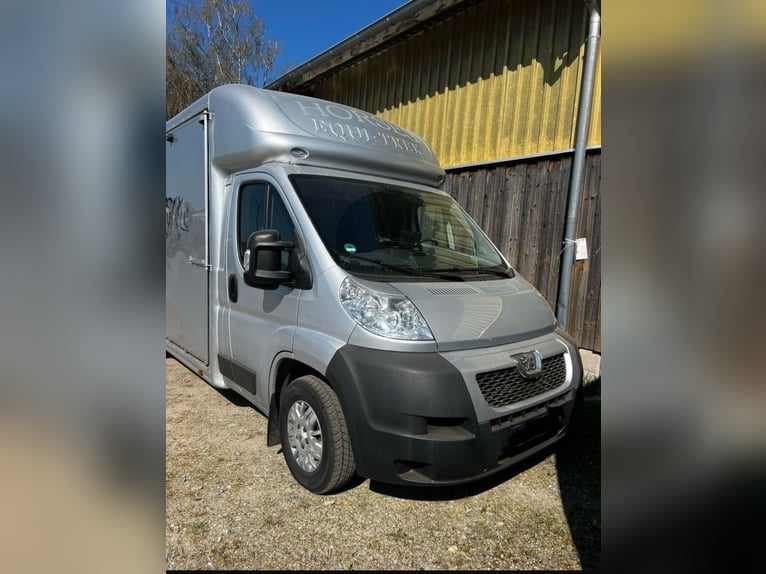 Trasporto cavalli 3,5 t Peugeot Boxer con soli 116.200 km percorsi