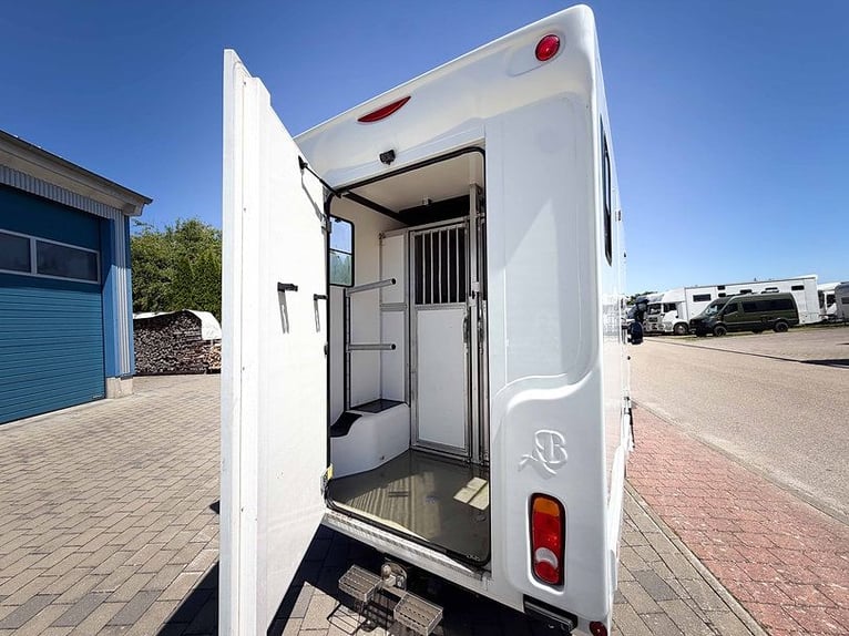 Trasporto cavalli allestimento stalloni Trasportatore per bestiame Trasporto animali Chevaux Horsetr