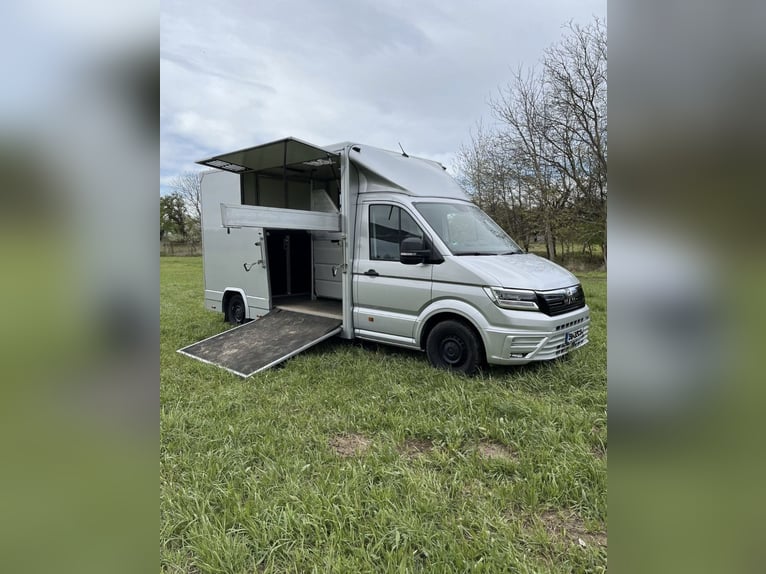 Trasporto cavalli MAN TGE 3.180 automatico, 3,5 tonnellate, furgone per trasporto cavalli