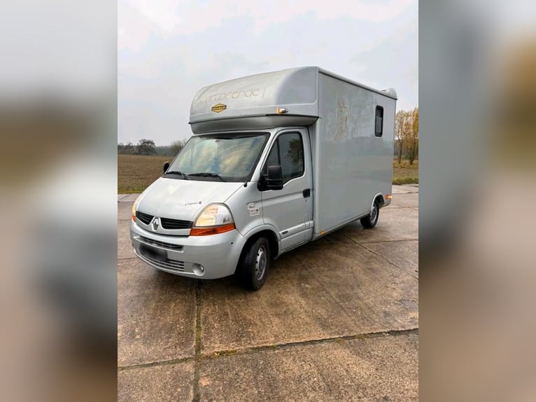 Trasporto cavalli usato Renault Master