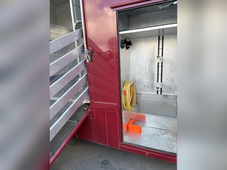 Trasporto di 3 cavalli con area soggiorno, 7,5 tonnellate