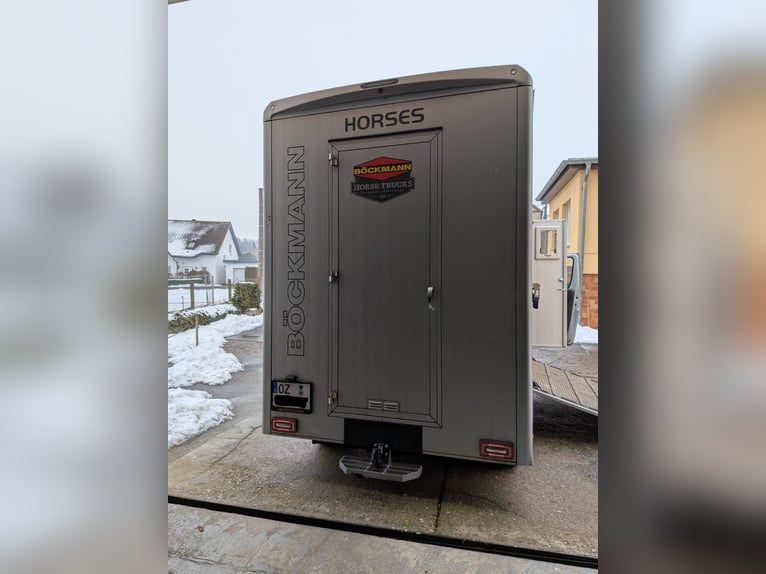 Trasporto per cavalli; camion per cavalli; 5 posti; Compact L Plus