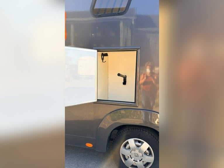 Vendita di furgone per il trasporto di cavalli con alloggio (in condizioni perfette)