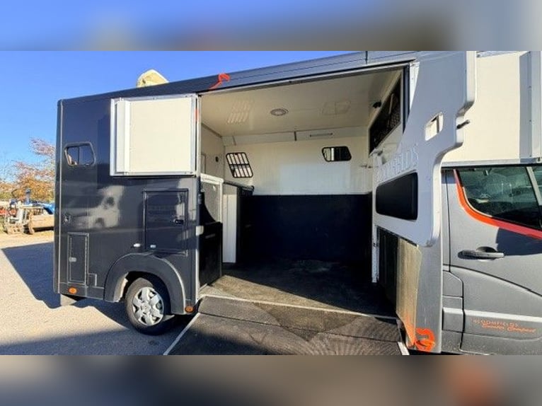 Vendita di furgone per il trasporto di cavalli con alloggio (in condizioni perfette)