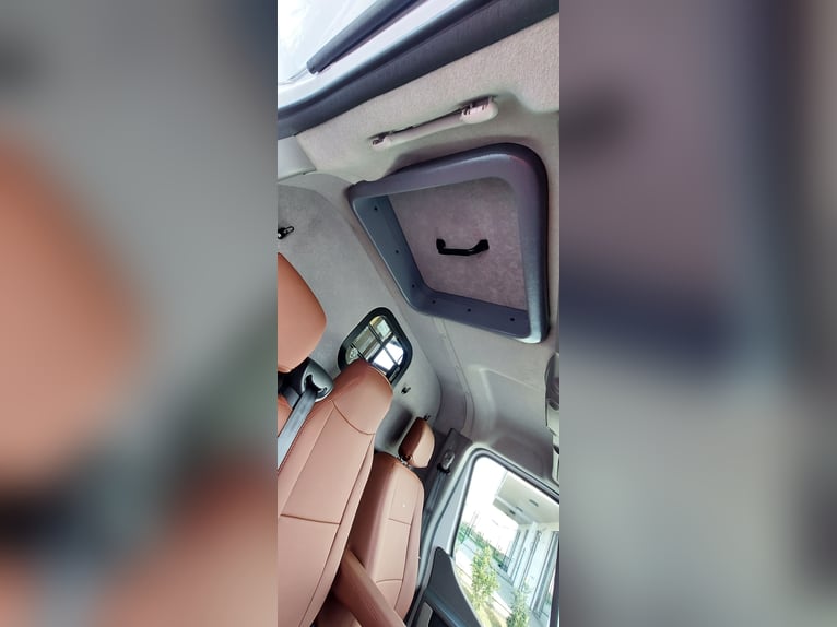 Viene messo in vendita il trasporto per cavalli Paragan Equistar 3.