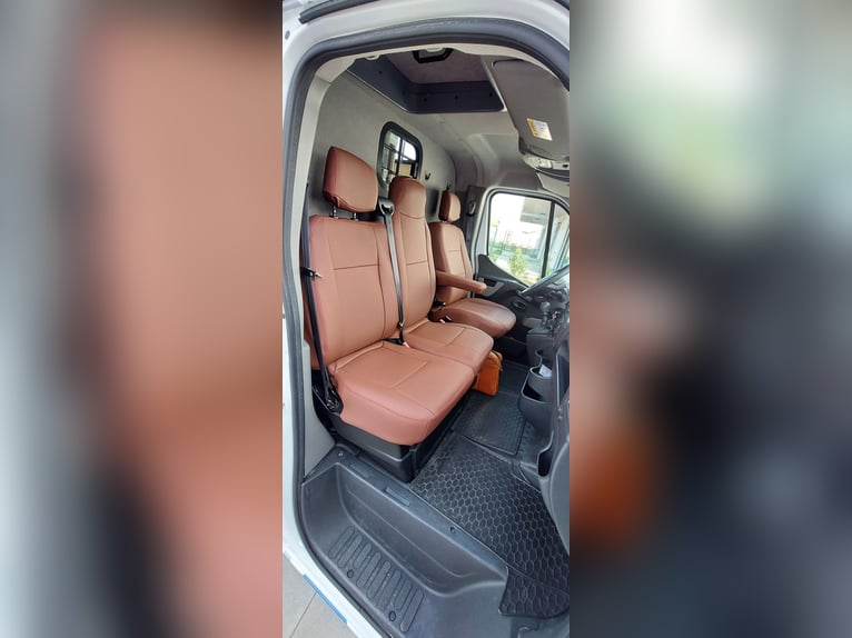 Viene messo in vendita il trasporto per cavalli Paragan Equistar 3.
