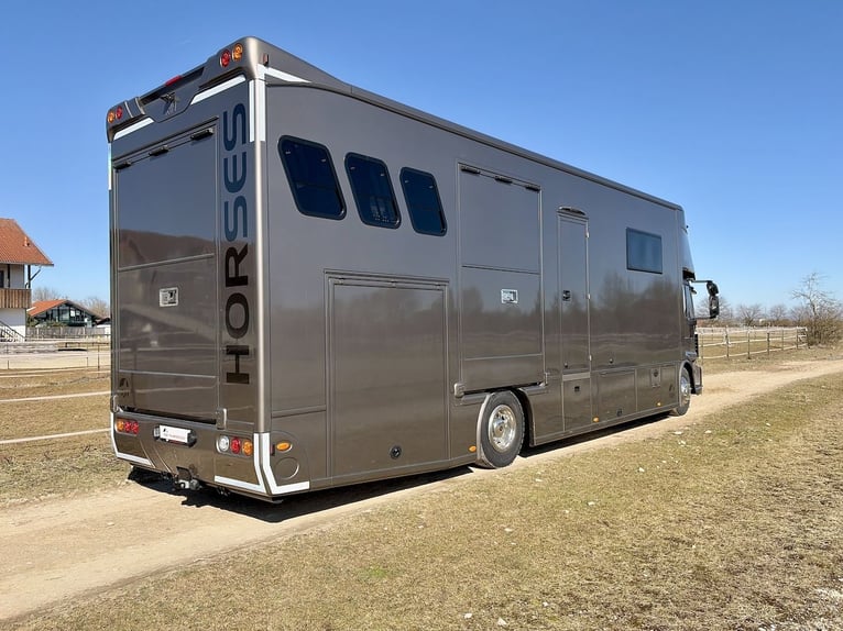 Iveco Eurocargo 160E RJH Ecoline H5 Trasporto animali con sponda scorrevole per 5 cavalli Camion WC