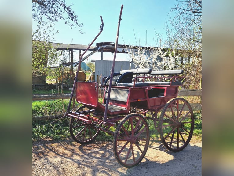 leichte Einspänner-Freizeitkutsche