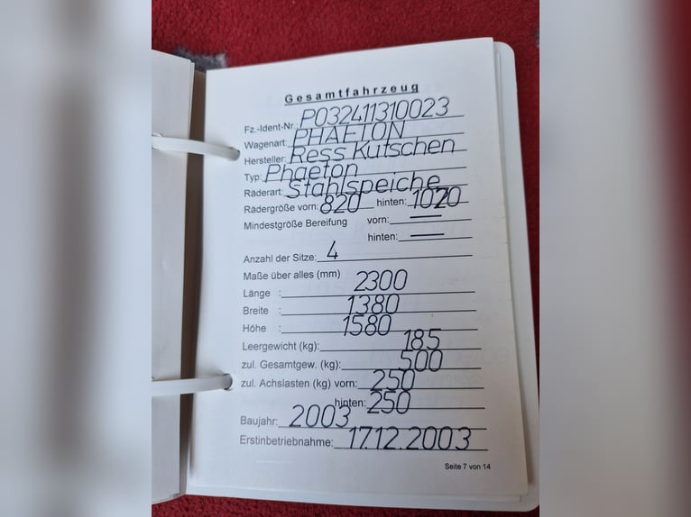 leichte Einspänner-Freizeitkutsche
