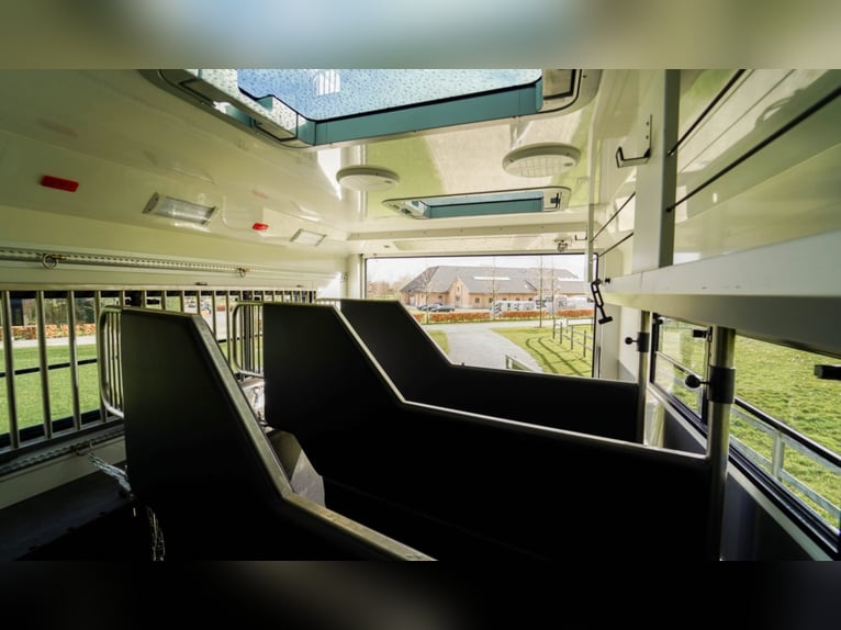 AKX D-range 4 Cavalli 2021