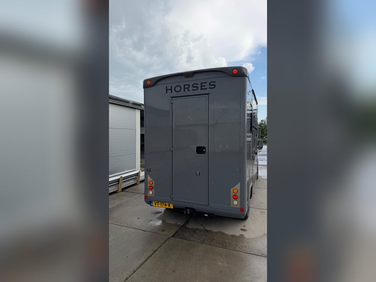 Camion per 2 cavalli in vendita!