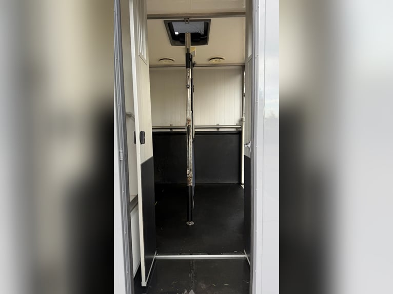 Camion per 2 cavalli in vendita!