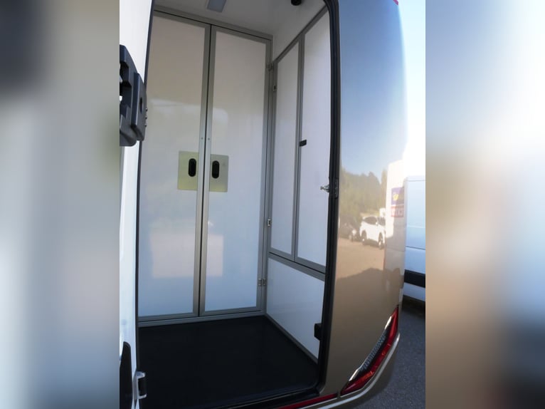 FORD Sodiak veicolo trasporto cavalli con conducente autonomo